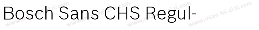 Bosch Sans CHS Regul字体转换
